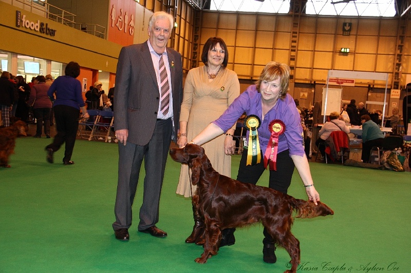 Crufts2011_2 207.jpg